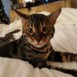 Meet your Posher, Wendi